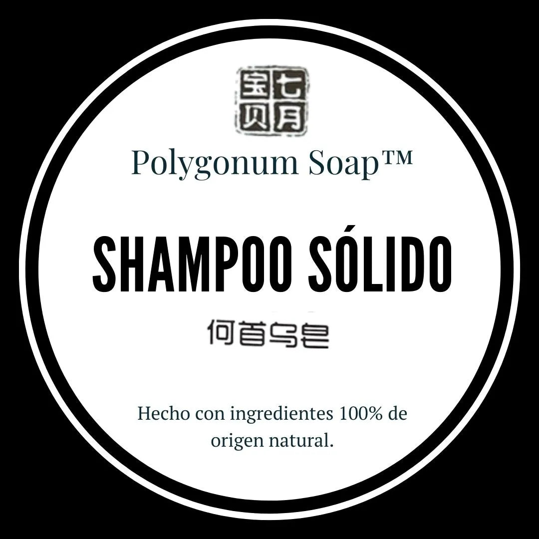 SHAMPOO SÓLIDO™ | 2X1 ✨