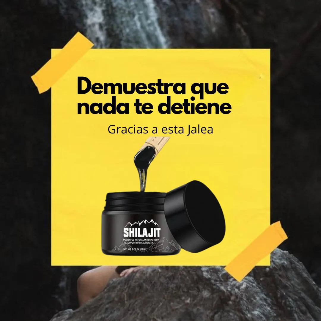SHILAJIT DEL HIMALAYA | RENUEVA TU VITALIDAD