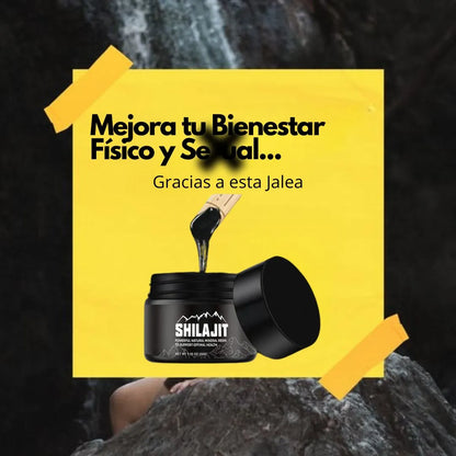 SHILAJIT DEL HIMALAYA | RENUEVA TU VITALIDAD