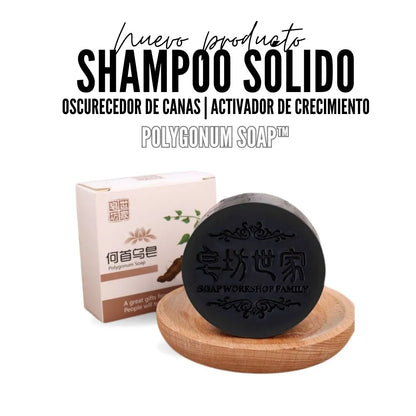 SHAMPOO SÓLIDO™ | 2X1 ✨