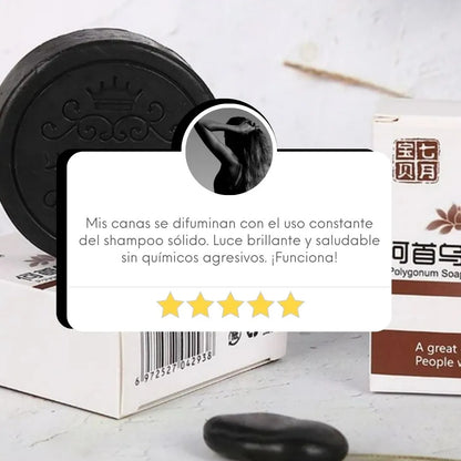 SHAMPOO SÓLIDO™ | 2X1 ✨