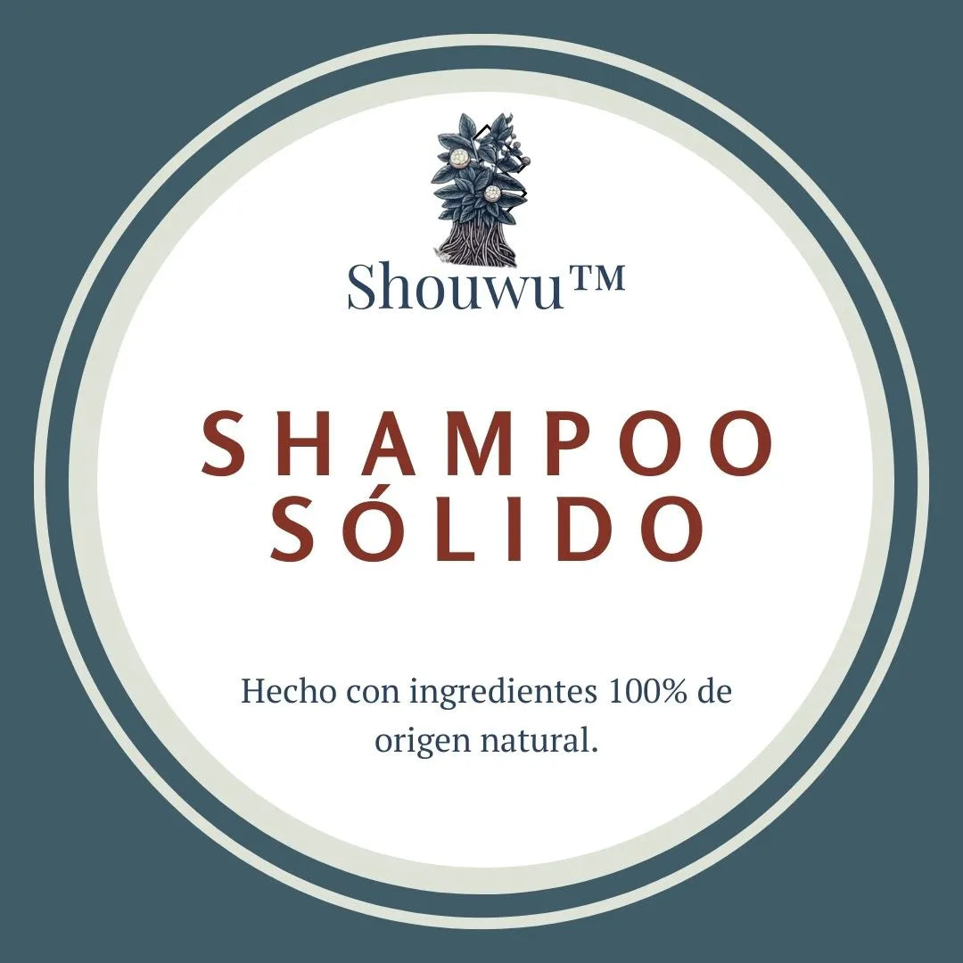 SHAMPOO SÓLIDO SHOUWU™ | 2X1 ✨